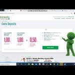 Findomestic Domande Frequenti