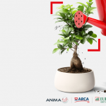 Cassa di Risparmio di Bolzano